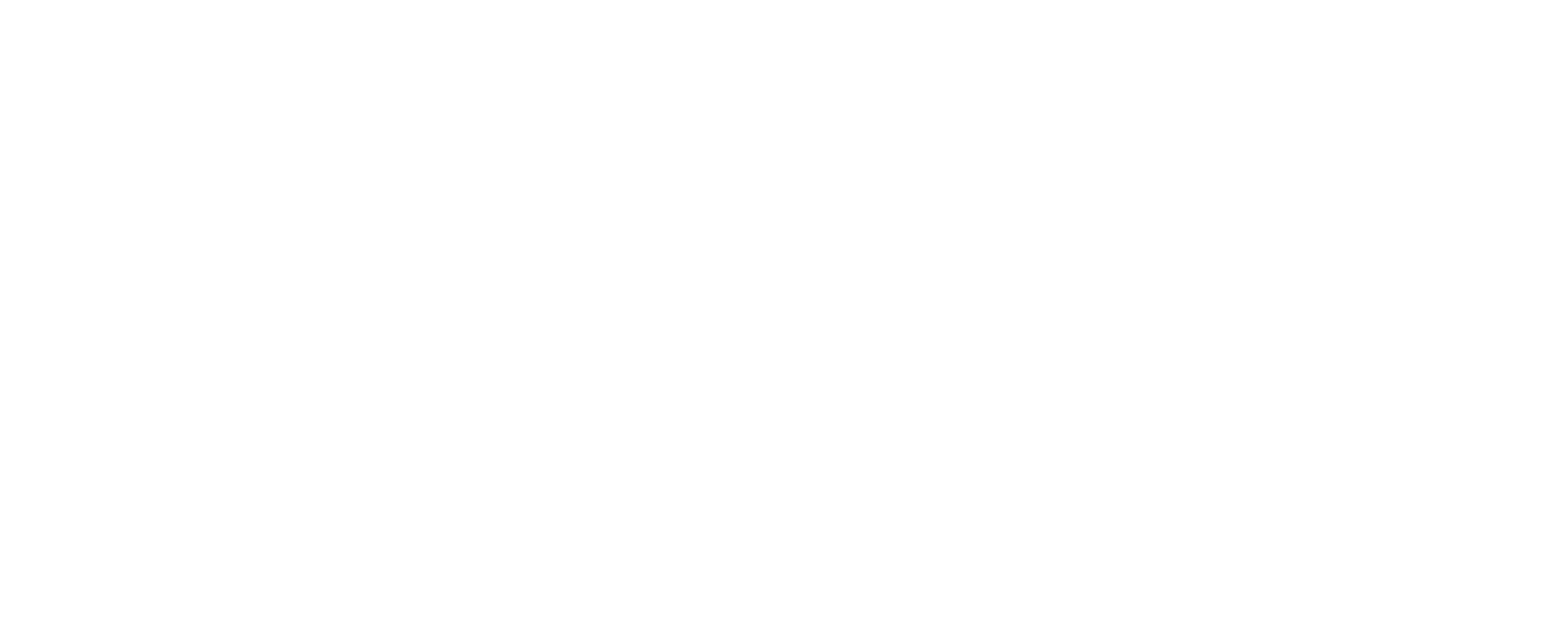 BR-MGNR15R1000 HM миниатюрная нержавеющая направляющая